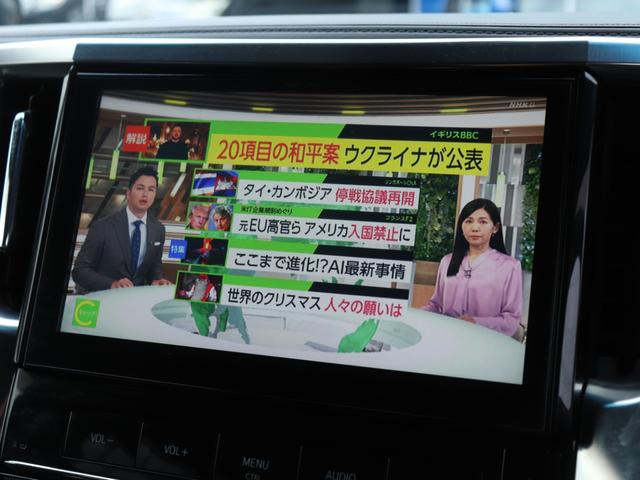 アルファード ２．５Ｓ　純正１０型ナビＢカメラ地デジＢＴ音楽両側電動スライドドアＬＥＤヘッドＦフォグ純正１７ＡＷ革巻きＨビルトインＥＴＣステアリングリモコン　クリアランスソナー　ブレーキホールドシステム電動パーキングブレーキ（53枚目）