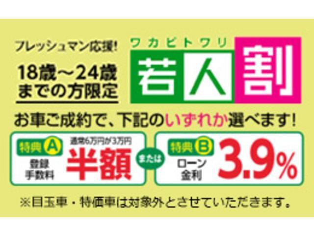 L フルセグTV メモリーナビ アイドリングストップ(17枚目)