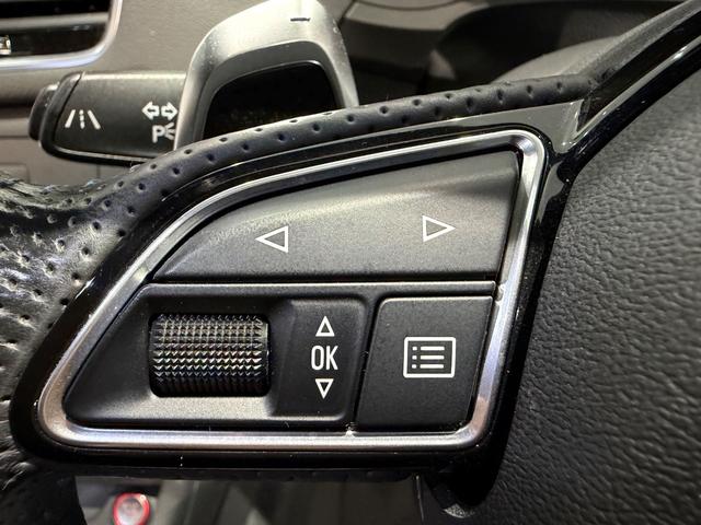 RS Q3 パフォーマンス ベースグレード パノラマサンルーフ/パワーバックドア/純正ナビTV/BOSEサウンド/カーボンインパネ/ハーフレザー/シートヒーター/ETC/Bカメラ/20AW/レッドキャリパー/(32枚目)