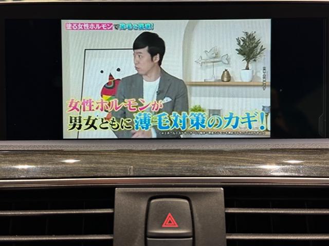 ４シリーズ ４４０ｉカブリオレ　Ｍスポーツ　ブラウンレザー／シートヒーター／純正ナビＴＶ／Ｂカメラ／インテリジェントセーフティ／メモリー付きパワーシート／（48枚目）