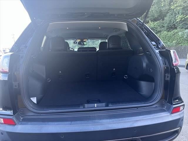 CHRYSLER JEEP JEEP CHEROKEE TRAILHAWK