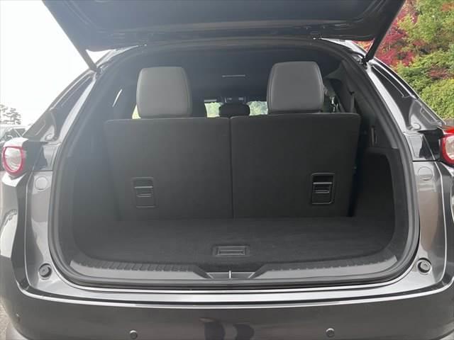 ＣＸ－８ ＸＤプロアクティブ　Ｓパッケージ　黒本革シート　ＢＯＳＥスピーカー　全方位モニター　レーダークルーズコントロール　シートヒーター　禁煙車　衝突軽減ブレーキ　純正ＳＤナビ　電動リアゲート　パワーシート　Ｂｌｕｅｔｏｏｔｈ　フルセグＴＶ（13枚目）