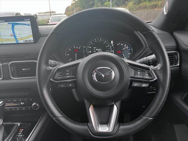 ＣＸ－８ ＸＤプロアクティブ　Ｓパッケージ　黒本革シート　ＢＯＳＥスピーカー　全方位モニター　レーダークルーズコントロール　シートヒーター　禁煙車　衝突軽減ブレーキ　純正ＳＤナビ　電動リアゲート　パワーシート　Ｂｌｕｅｔｏｏｔｈ　フルセグＴＶ（14枚目）