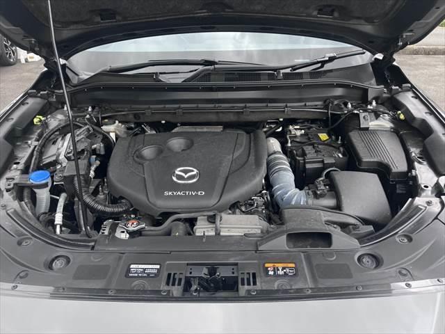 ＣＸ－８ ＸＤプロアクティブ　Ｓパッケージ　黒本革シート　ＢＯＳＥスピーカー　全方位モニター　レーダークルーズコントロール　シートヒーター　禁煙車　衝突軽減ブレーキ　純正ＳＤナビ　電動リアゲート　パワーシート　Ｂｌｕｅｔｏｏｔｈ　フルセグＴＶ（34枚目）