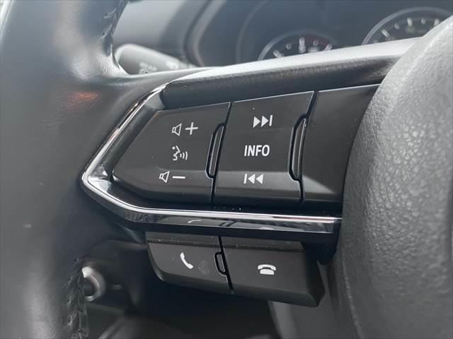 ＣＸ－８ ＸＤプロアクティブ　Ｓパッケージ　黒本革シート　ＢＯＳＥスピーカー　全方位モニター　レーダークルーズコントロール　シートヒーター　禁煙車　衝突軽減ブレーキ　純正ＳＤナビ　電動リアゲート　パワーシート　Ｂｌｕｅｔｏｏｔｈ　フルセグＴＶ（47枚目）