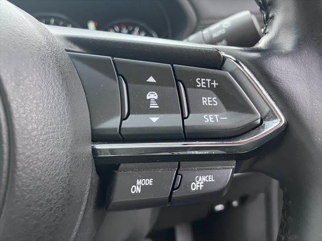 ＣＸ－８ ＸＤプロアクティブ　Ｓパッケージ　黒本革シート　ＢＯＳＥスピーカー　全方位モニター　レーダークルーズコントロール　シートヒーター　禁煙車　衝突軽減ブレーキ　純正ＳＤナビ　電動リアゲート　パワーシート　Ｂｌｕｅｔｏｏｔｈ　フルセグＴＶ（48枚目）