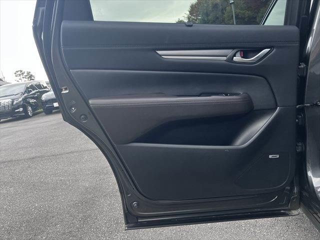 ＣＸ－８ ＸＤプロアクティブ　Ｓパッケージ　黒本革シート　ＢＯＳＥスピーカー　全方位モニター　レーダークルーズコントロール　シートヒーター　禁煙車　衝突軽減ブレーキ　純正ＳＤナビ　電動リアゲート　パワーシート　Ｂｌｕｅｔｏｏｔｈ　フルセグＴＶ（67枚目）