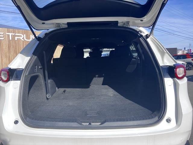 ＣＸ－８ ＸＤプロアクティブ　純正ナビ　レーダークルーズコントロール　シートヒーター　衝突軽減ブレーキ　コーナーセンサー　禁煙車　フルセグＴＶ　Ｂｌｕｅｔｏｏｔｈ　パワーシート　ＬＥＤヘッドライト　オートマチックハイビーム（36枚目）