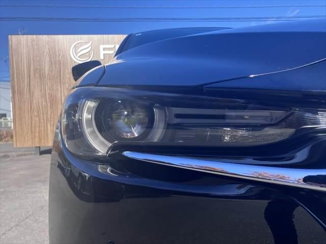 CX-8 XDプロアクティブ ディーゼルターボ 純正SDナビ レーダークルーズコントロール 衝突軽減ブレーキ 全周囲カメラ シートヒーター フルセグTV Bluetooth パワーシート 禁煙車 LEDヘッドライト スマートキー(27枚目)