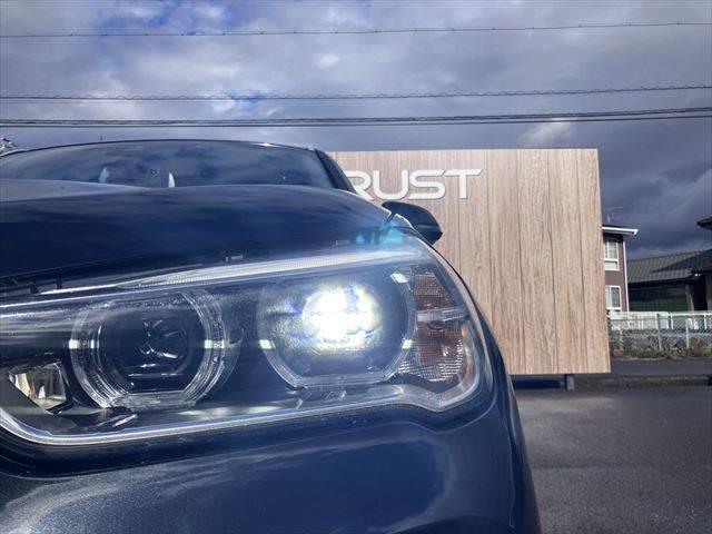 X1 xDrive 18d xライン 純正HDDナビ 衝突軽減ブレーキ ETC(10枚目)