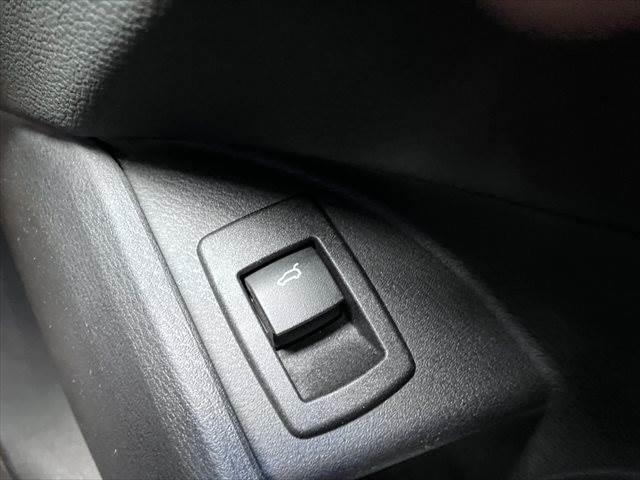 X1 xDrive 18d xライン 純正HDDナビ 衝突軽減ブレーキ ETC(38枚目)