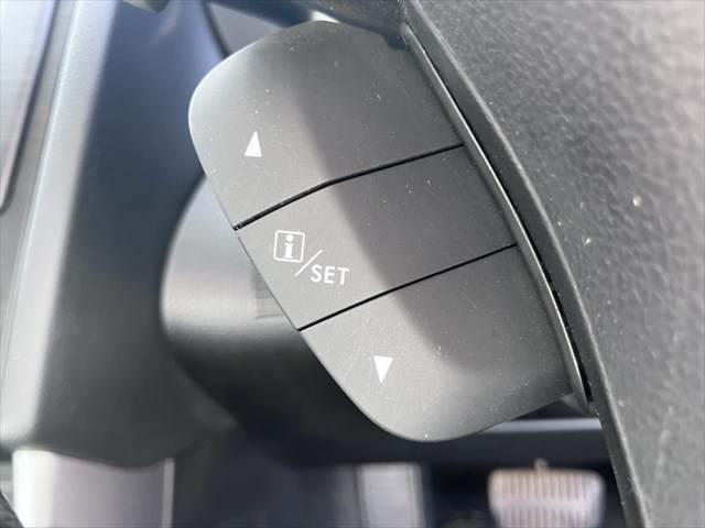 フォレスター 2.0i-S アイサイト メモリナビ 衝突軽減ブレーキ バックカメラ(42枚目)