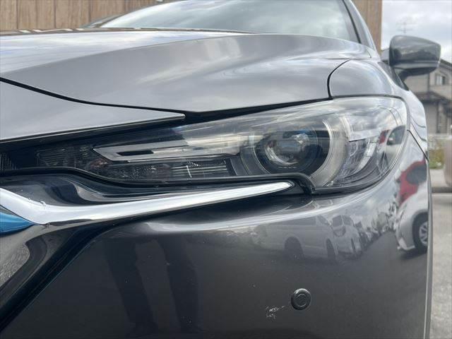 ���w�b�h���C�g