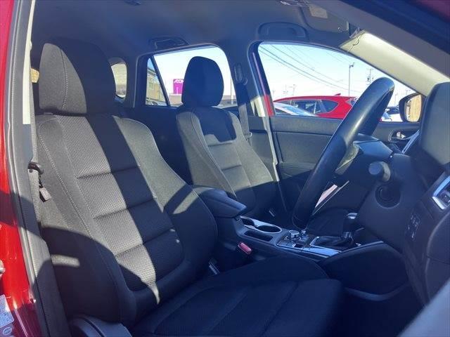 ���^�]�ȑ��P���