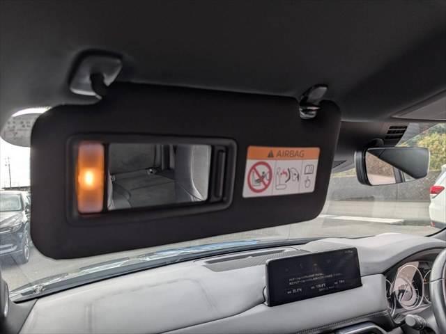 ＣＸ－８ ディーゼル　ＸＤ　Ｂｌａｃｋ　Ｔｏｎｅ　Ｅｄｉｔｉｏｎ　７人　純正ナビ　レーダークルコン　全方位カメラ（50枚目）