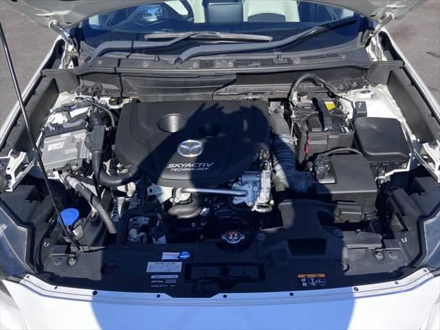 ���G���W�����[��