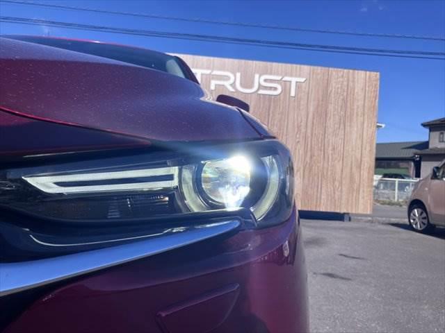 �����w�b�h���C�g�_����