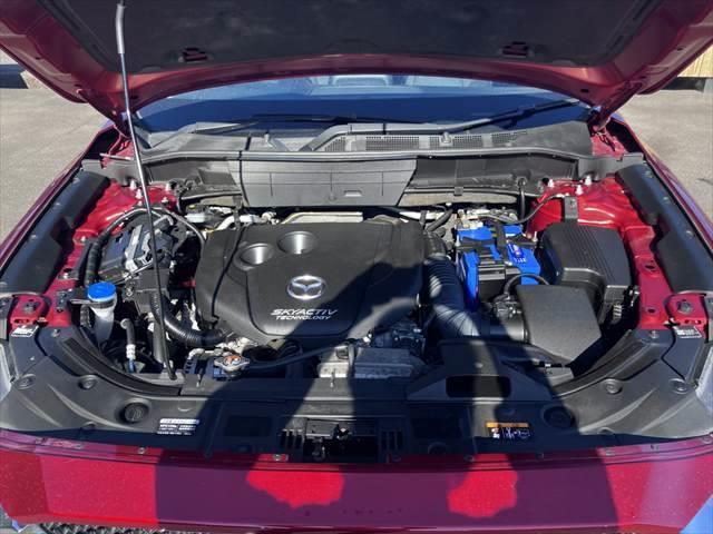 ���G���W�����[��