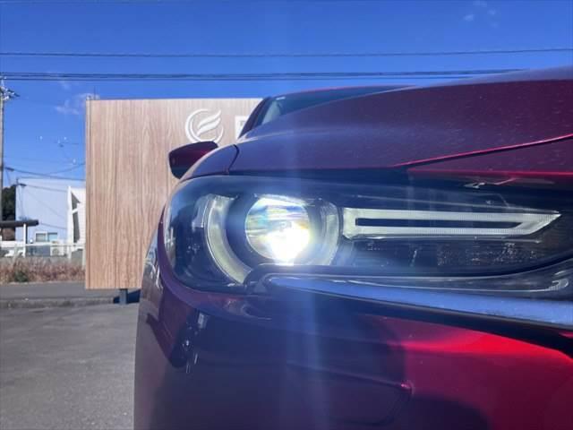 ���E�w�b�h���C�g�_����