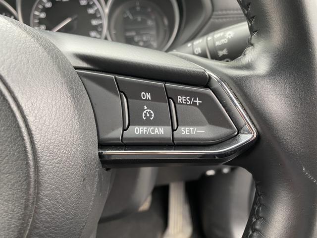 XD 4WD ディーゼル 衝突軽減 レーンアシスト クルコン アイスト Cセンサー 純正メモリーナビ フルセグ S&Bカメラ LEDヘッド リヤフォグ ウインカーミラー スマートキー 純正17AW ETC(26枚目)