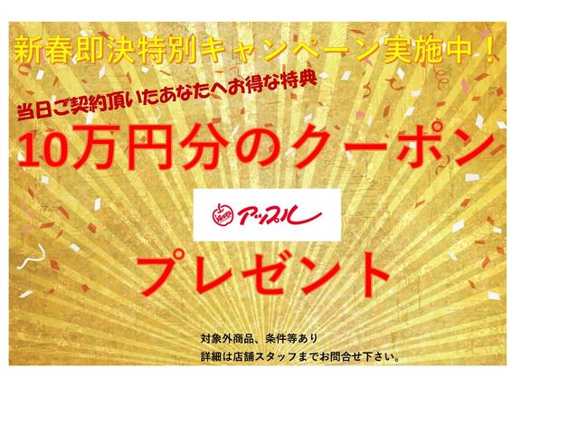 ダブルバイビー バックカメラ 純正メモリーナビ レーダークルーズコントロール LEDヘッドライト フォグライト オートライト オートマチックハイビーム ETC レーンアシスト クリアランスソナー BSM Pガラス(2枚目)