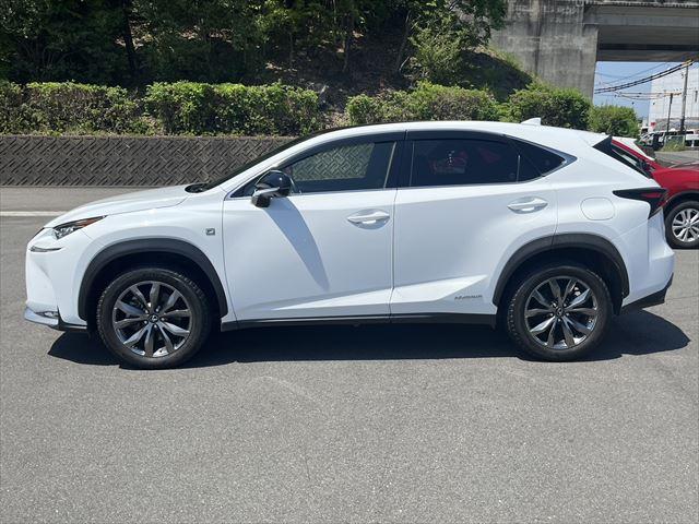 ＮＸ ＮＸ３００ｈ　Ｆスポーツ　保証付　禁煙車　４ＷＤ　パノラマルーフ　シートヒーター　シートエアコン　クルーズコントロール　電動リアゲート　クリアランスソナー　レーンキープアシスト　純正ＳＤナビ　バックカメラ（11枚目）