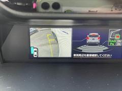 �������ɥ���顡�㳲ʪ���󥵡� 7