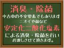 ＥＣＯ－Ｓ　禁煙車　ＥＴＣ　アルトエコ上級グレード(27枚目)