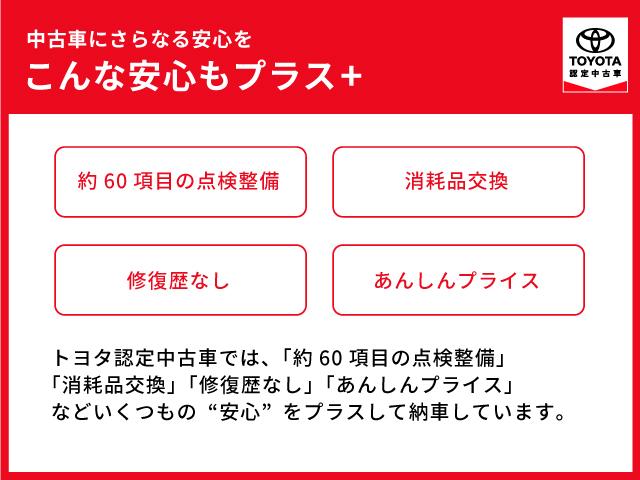 ヴォクシー ハイブリッドＳ－Ｚ　衝突被害軽減システム　メモリーナビ　フルセグ　バックカメラ　ＥＴＣ　ＣＤ　ＤＶＤ再生　オートクルーズコントロール　ＬＥＤヘッドランプ　両側電動スライドシートヒーター　Ｂｌｕｅｔｏｏｔｈ（48枚目）