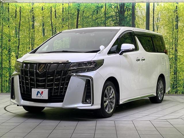 アルファード 2.5S タイプゴールドIII サンルーフ 両側電動ドア 後席モニター バックカメラ 衝突被害軽減システム 100V電源 レーダークルーズ 禁煙車 電動リアゲート ハーフレザーシート ドラレコ コーナーセンサー スマートキー(25枚目)