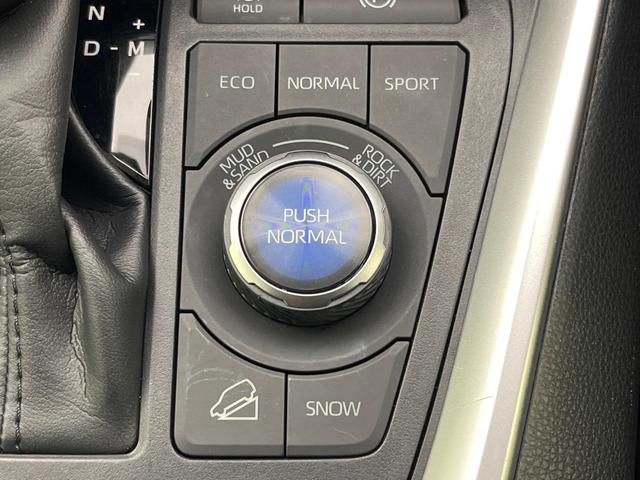 ＲＡＶ４ Ｇ　Ｚパッケージ　４ＷＤ　純正９インチメモリーナビ　全周囲カメラ　トヨタセーフティセンス　レーダークルーズ　禁煙車　パワーバックドア　革シート　シートヒーター　パワーシート　ドラレコ　コーナーセンサー　スマートキー（54枚目）