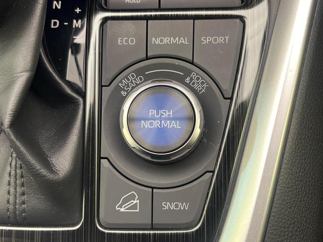 ＲＡＶ４ アドベンチャー　オフロードパッケージ　４ＷＤ　全周囲カメラ　ＡＣ１００Ｖ電源　トヨタセーフティセンス　レーダークルーズ　禁煙車　レザーシート　前席シートエアコン　パワーシート　ドラレコ　コーナーセンサー　ＬＥＤヘッド　ルーフレール（54枚目）