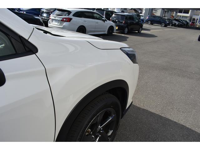 フォレスター STIスポーツ(65枚目)