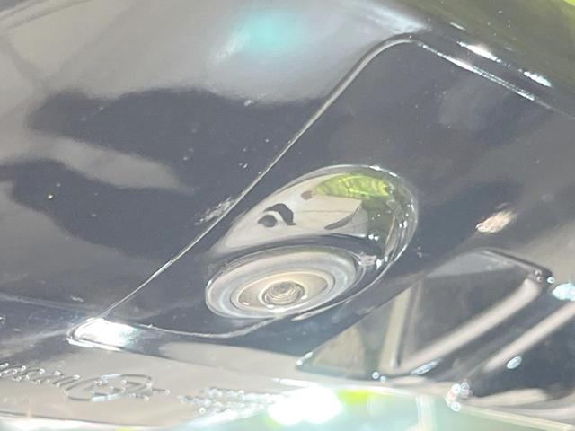 プログレス 純正9型SDナビ 全周囲カメラ 衝突軽減 レーダークルーズコントロール 禁煙車 パワーシート ドラレコ ETC 電動リアゲート オートマチックハイビーム 電動格納ミラー ステアリングスイッチ(30枚目)