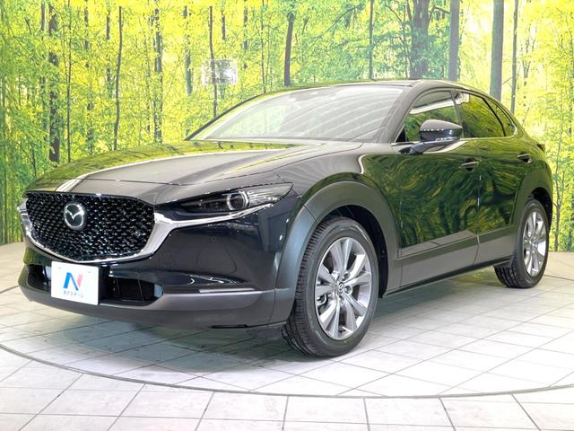 ＣＸ－３０ ２０Ｓ　プロアクティブ　ツーリングセレクション　禁煙車　衝突軽減　全周囲カメラ　純正ナビ　レーダークルーズコントロール　ステアリングヒーター　パドルシフト　ブラインドスポットモニター　シートヒーター　パワーバックドア　クリアランスソナー　ＥＴＣ（21枚目）