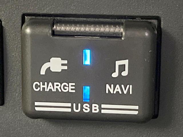 ロッキー プレミアムG 禁煙車 BIG-X9型ナビ バックカメラ 衝突被害軽減システム レーダークルーズ ハーフレザーシート ドラレコ コーナーセンサー スマートキー LEDヘッド ビルトインETC 車線逸脱警報(43枚目)