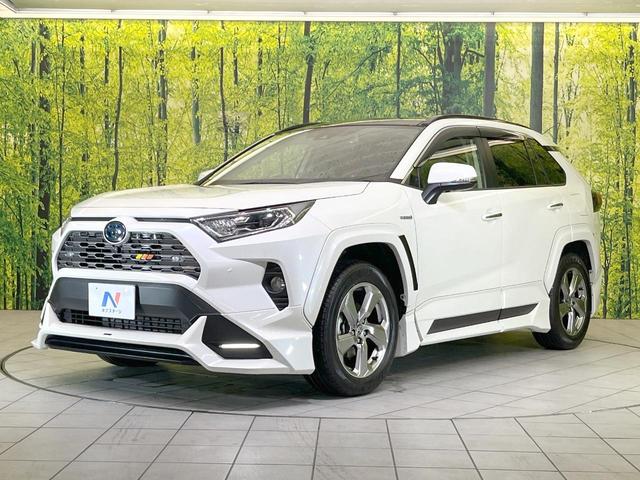 ＲＡＶ４ ハイブリッドＧ　４ＷＤ　サンルーフ　フルエアロ　全周囲カメラ　衝突被害軽減システム　レーダークルーズ　禁煙車　パワーシート　ドラレコ　コーナーセンサー　スマートキー　ＬＥＤヘッド　ビルトインＥＴＣ（23枚目）