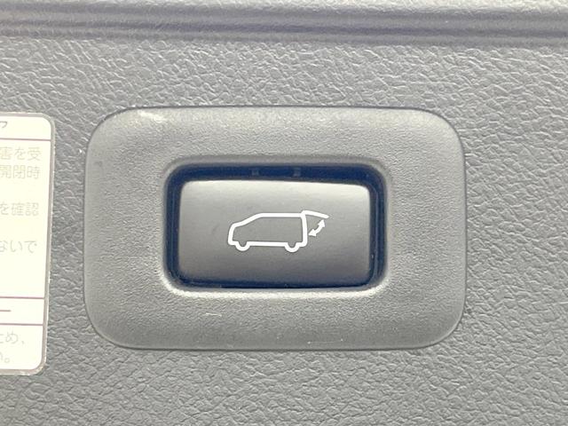 ヴェルファイア 2.5Z Aエディション ゴールデンアイズ 両側電動ドア 純正10型ナビ 後席モニター バックカメラ 禁煙車 電動リアゲート ハーフレザーシート ドラレコ コーナーセンサー スマートキー ビルトインETC クルコン デュアルエアコン(38枚目)