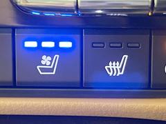 ڥȥ٥졼۲ƾäǤǮɤߤϥ᤯ޤäƥݥݥˡ鷺Ŭ˲ᤴޤ 5