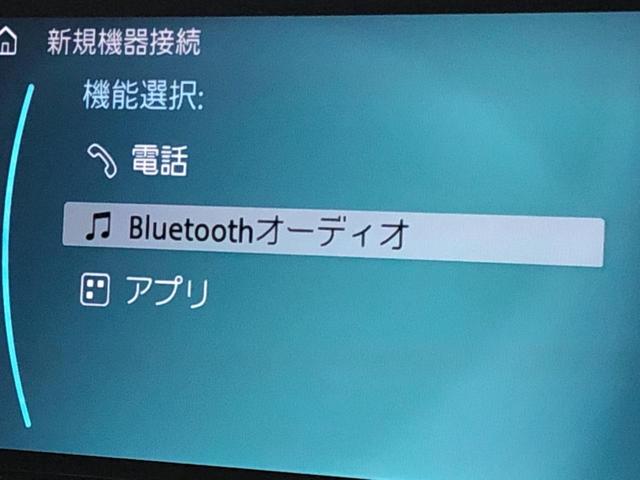 ジョンクーパーワークス　クロスオーバー　パーキングアシストＰＫＧ　ピアノブラックエクステリア　クルーズコントロール　バックカメラ　スマートキー　電動リアゲート　レーンアシスト　衝突軽減システム　デジタルメーター　禁煙車　ＬＥＤヘッドライト(47枚目)