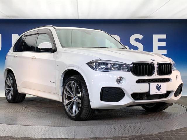 Ｘ５ ｘＤｒｉｖｅ　３５ｉ　Ｍスポーツ　パノラマサンルーフ　セレクトＰＫＧ　７人乗り　３列シート　黒革シート　全席シートヒーター　レーダークルーズコントロール　バックカメラ　フルセグＴＶ　電動リアゲート　ＬＥＤヘッドライト　ＥＴＣ　禁煙車（16枚目）