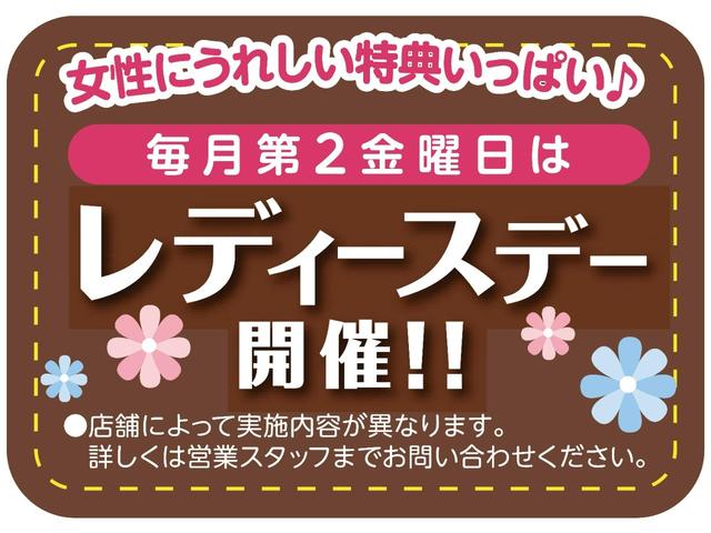 Ｇ・Ａパッケージ　ギャザズメモリーナビ　リアカメラ　ワンセグ　あんしんパッケージ　サイドエアバック　純正音声ガイドＥＴＣ　ディスチャージヘッドライト　ＶＳＡ　電子パーキング　オートリトラミラー　スマートキー(44枚目)