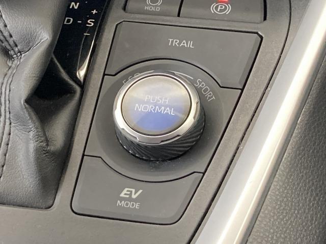 ＲＡＶ４ ハイブリッドＧ　純正９インチナビ　モデリスタエアロ　シートヒーター　ブラインドスポットモニター　レーダークルーズコントロール　トヨタセーフィティーセンス　電動リアゲート　ハンドルヒーター　オートブレーキホールド（80枚目）
