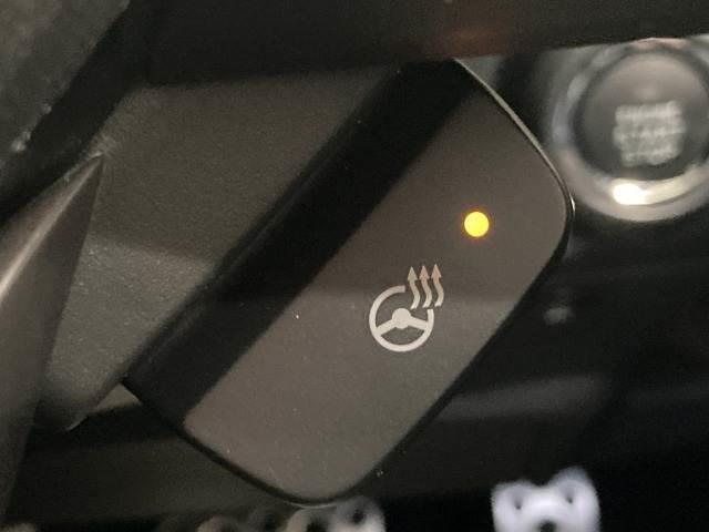 フォレスター アドバンス　純正８インチナビ　サンルーフ　本革シート　ルーフレール　レーダークルーズコントロール　アイサイト　シートヒーター　ブラインドスポットモニター　デジタルインナーミラー　電動リアゲート　ハンドルヒーター（10枚目）