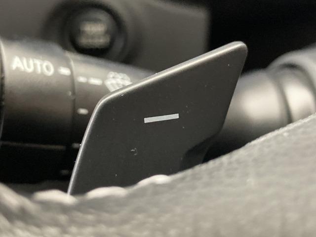 フォレスター アドバンス　純正８インチナビ　サンルーフ　本革シート　ルーフレール　レーダークルーズコントロール　アイサイト　シートヒーター　ブラインドスポットモニター　デジタルインナーミラー　電動リアゲート　ハンドルヒーター（55枚目）