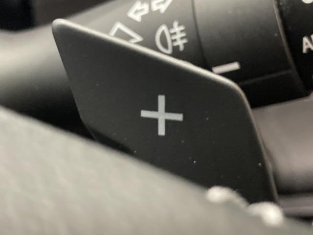 フォレスター アドバンス　純正８インチナビ　サンルーフ　本革シート　ルーフレール　レーダークルーズコントロール　アイサイト　シートヒーター　ブラインドスポットモニター　デジタルインナーミラー　電動リアゲート　ハンドルヒーター（56枚目）