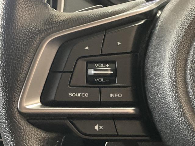 フォレスター アドバンス　純正８インチナビ　サンルーフ　本革シート　ルーフレール　レーダークルーズコントロール　アイサイト　シートヒーター　ブラインドスポットモニター　デジタルインナーミラー　電動リアゲート　ハンドルヒーター（57枚目）