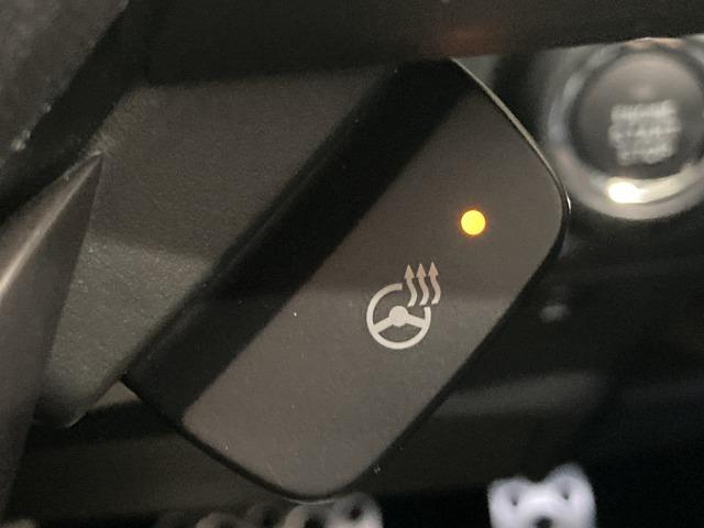 フォレスター アドバンス　純正８インチナビ　サンルーフ　本革シート　ルーフレール　レーダークルーズコントロール　アイサイト　シートヒーター　ブラインドスポットモニター　デジタルインナーミラー　電動リアゲート　ハンドルヒーター（60枚目）