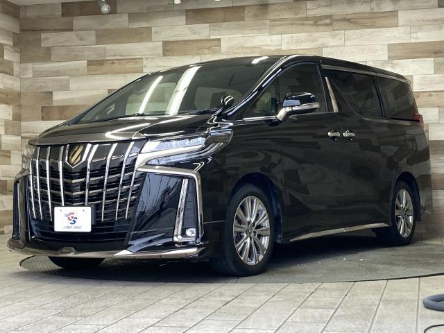 アルファード 2.5S タイプゴールド サンルーフ モデリスタエアロ 純正8型ディスプレイオーディオ レーダークルーズコントロール トヨタセーフィティーセンス 電動リアゲート 両側電動スライドドア ブラインドスポットモニター ETC(23枚目)