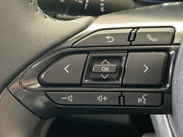 アクア Z 純正ナビ/全周囲モニター/レーダークルーズコントロール/AC100V/ブラインドスポットモニター/ビルトインETC/ステアリングリモコン/スマートキー/LEDヘッドライト/クリアランスソナー(59枚目)